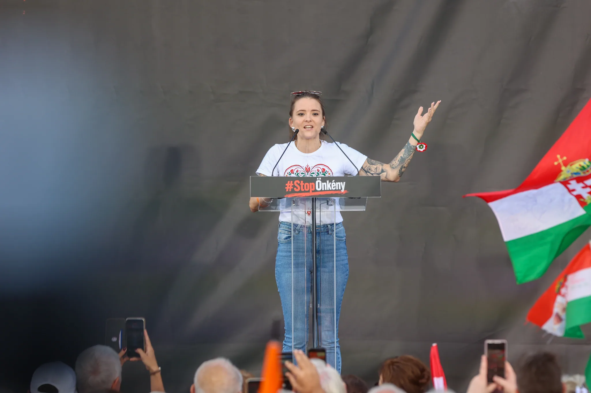 Tóth Elizabeth civil aktivista is felszólalt az alaptörvény tervezett módosítása ellen, a Fidesz és a KDNP közös szervezésében tartott demonstráción a Sándor-palota előtt Sándor palota