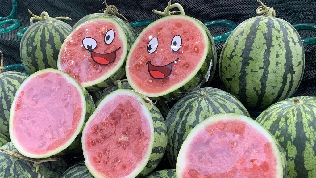 görögdinnye