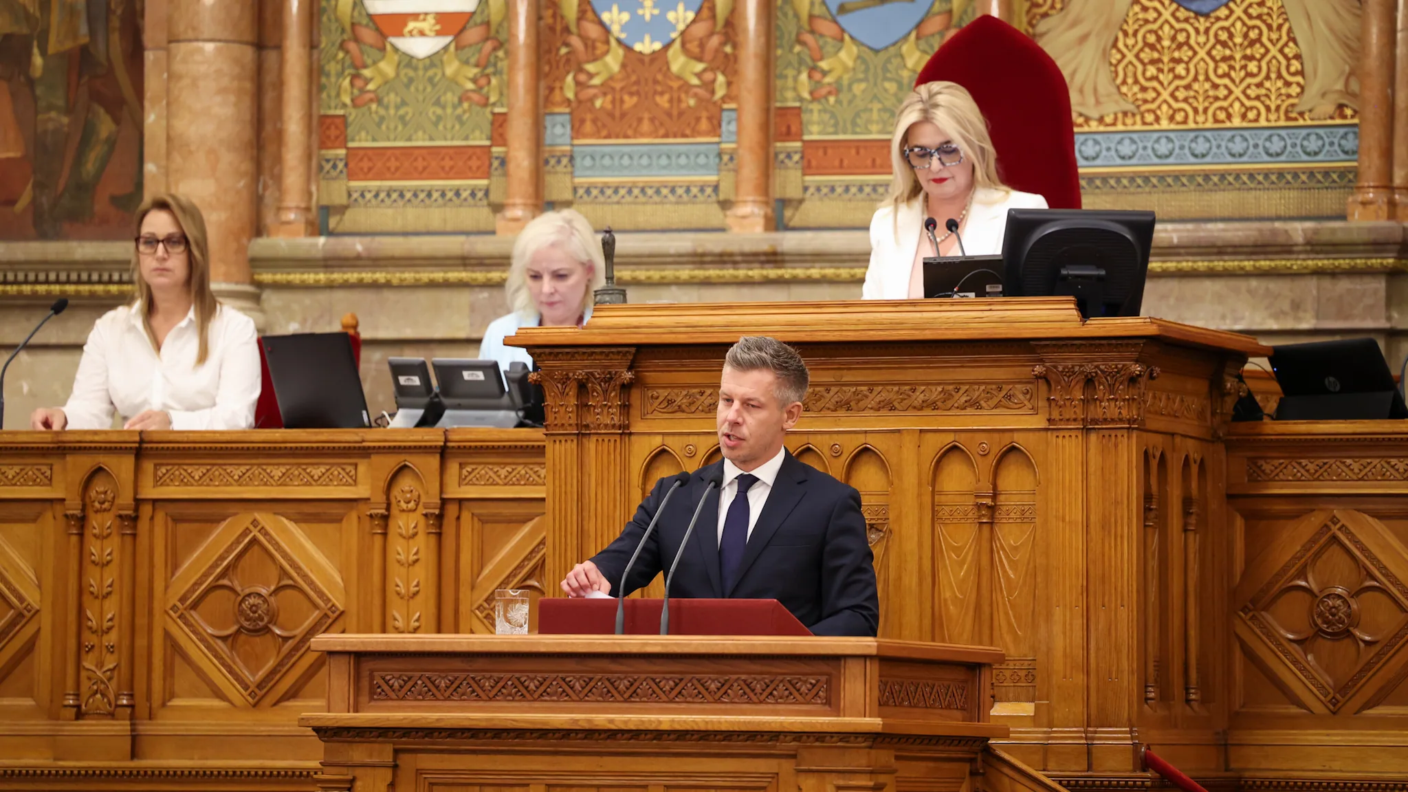 Hallerné Nagy Anikó házelnök