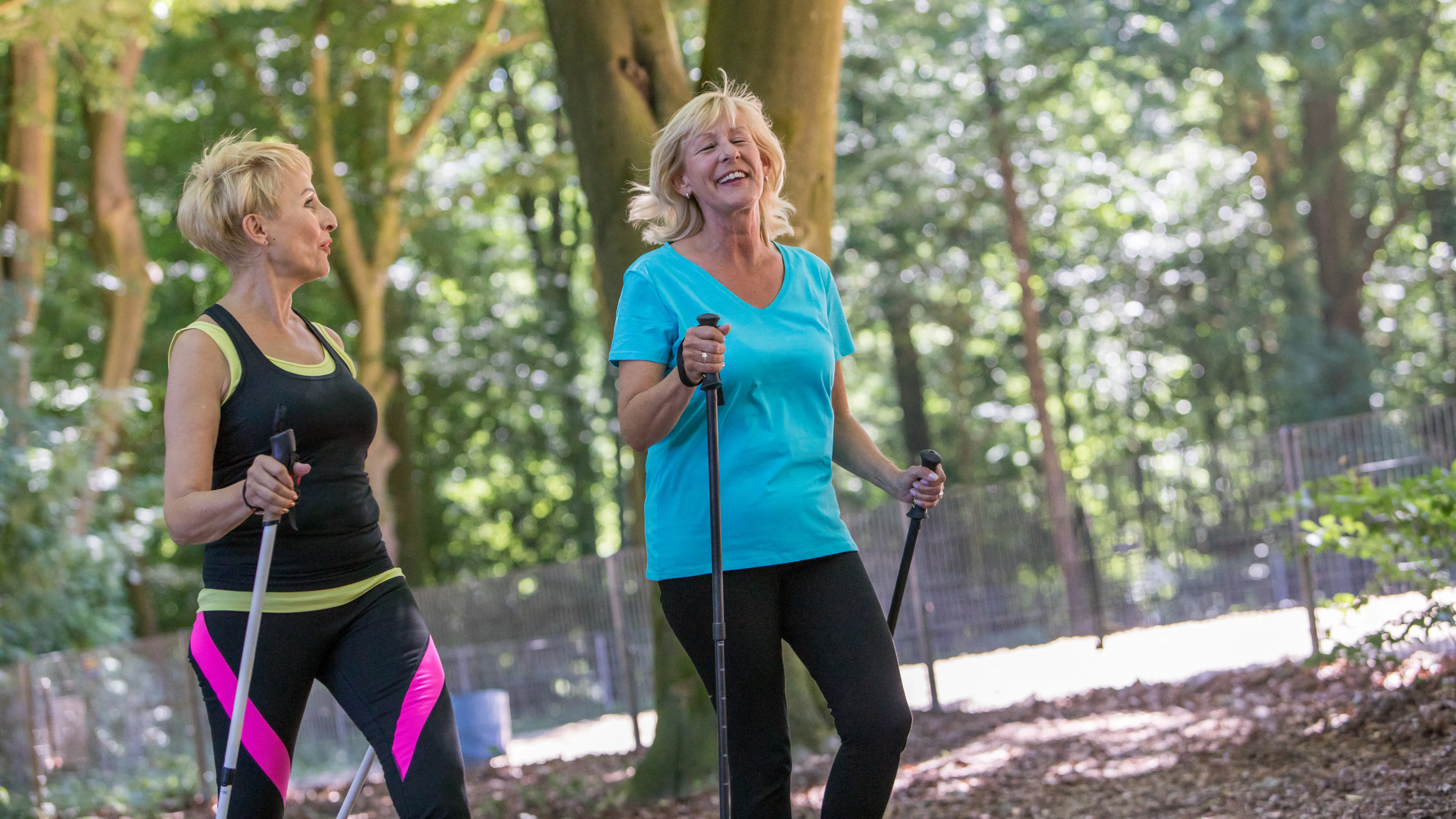 séta nordic walking mozgás edzés testedzés túra túrázás egészség