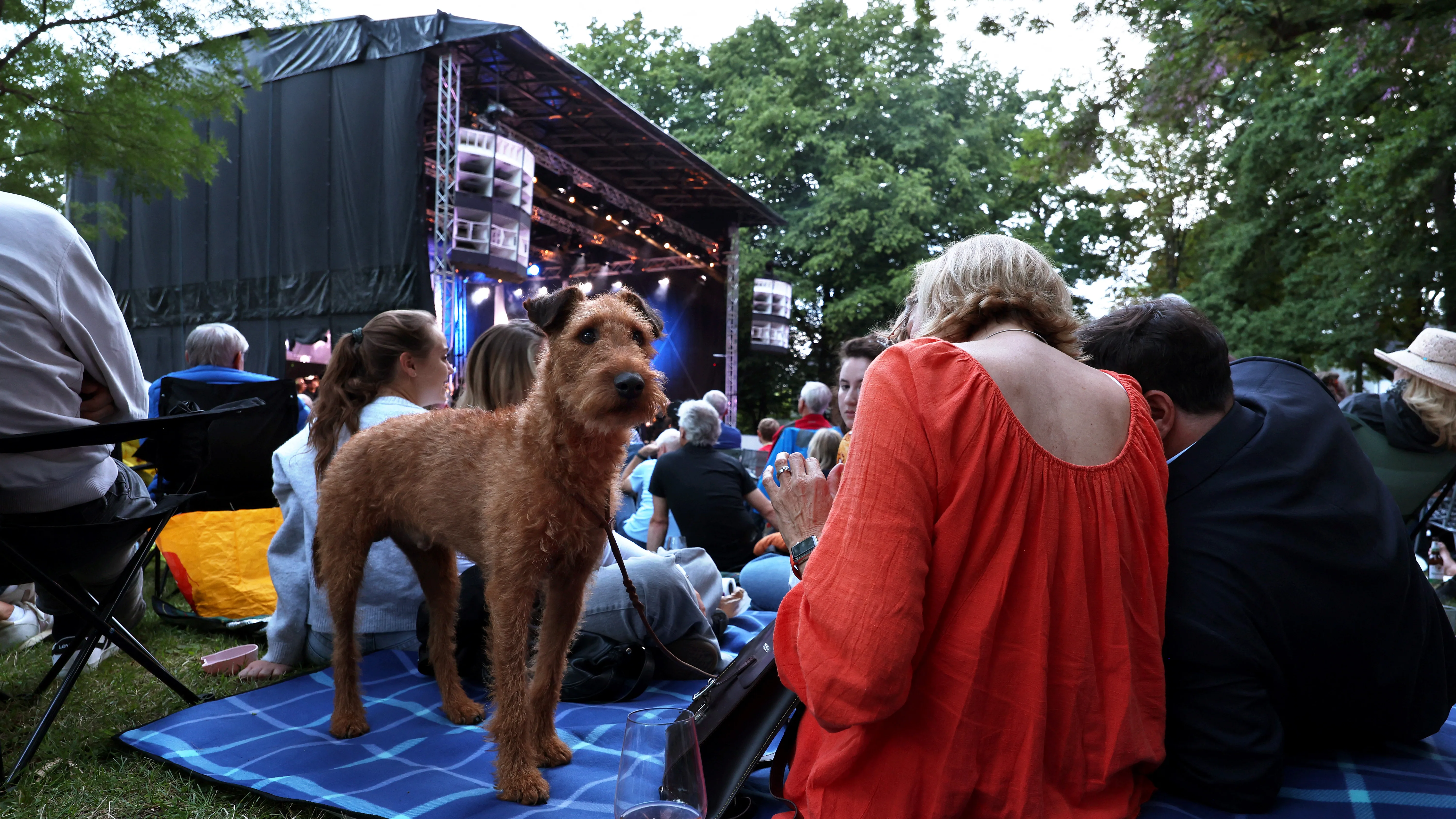 kutya koncert
