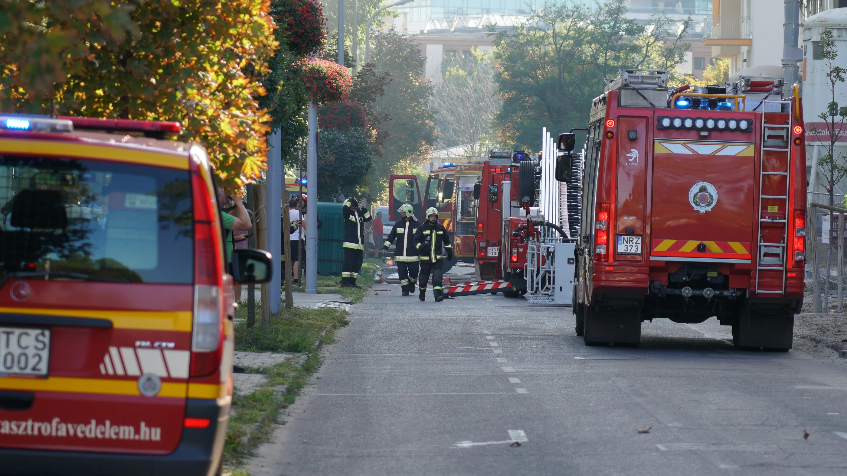 Oldalára borult egy sertéseket szállító teherautó a 63-as főúton