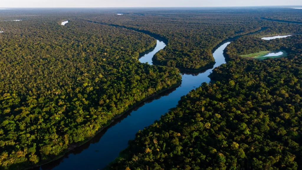 Amazonas