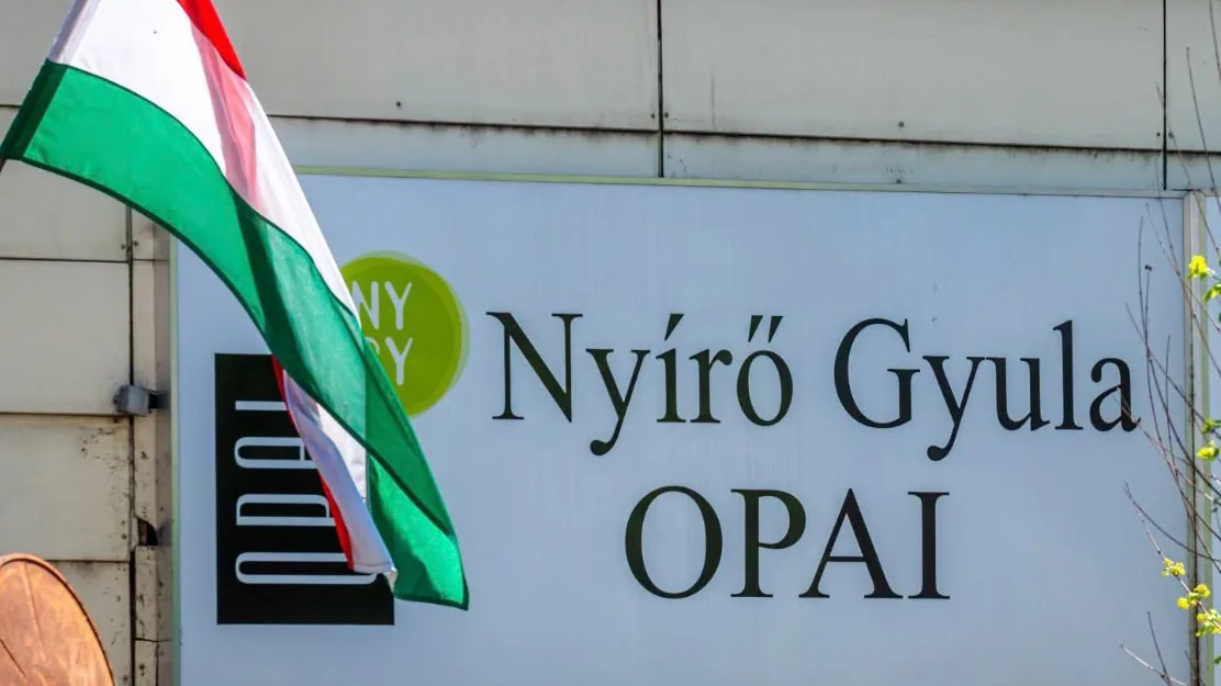 Cikk borítókép