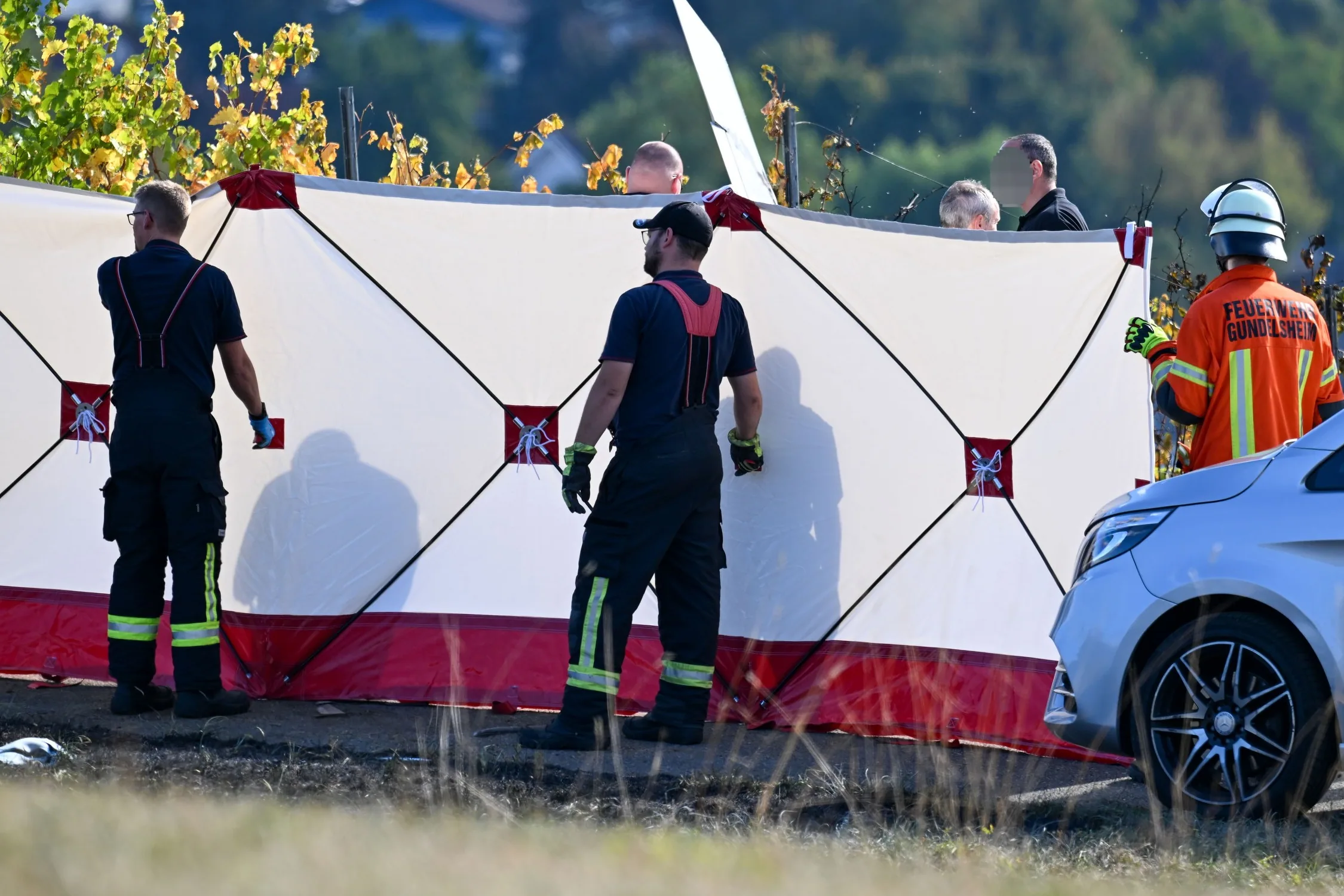 Cikk borítókép