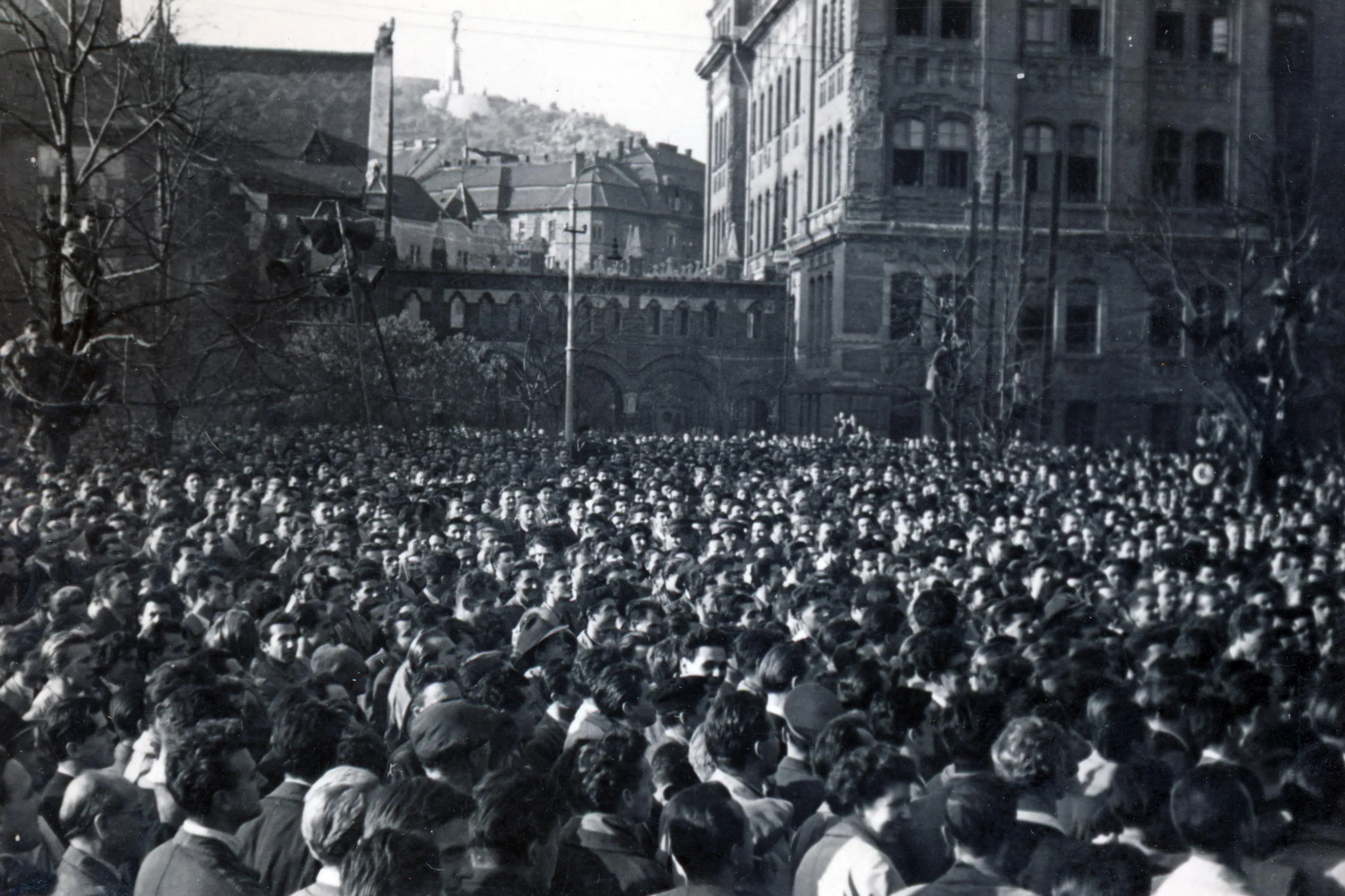 A hírek tükrében 1956. október 23-a