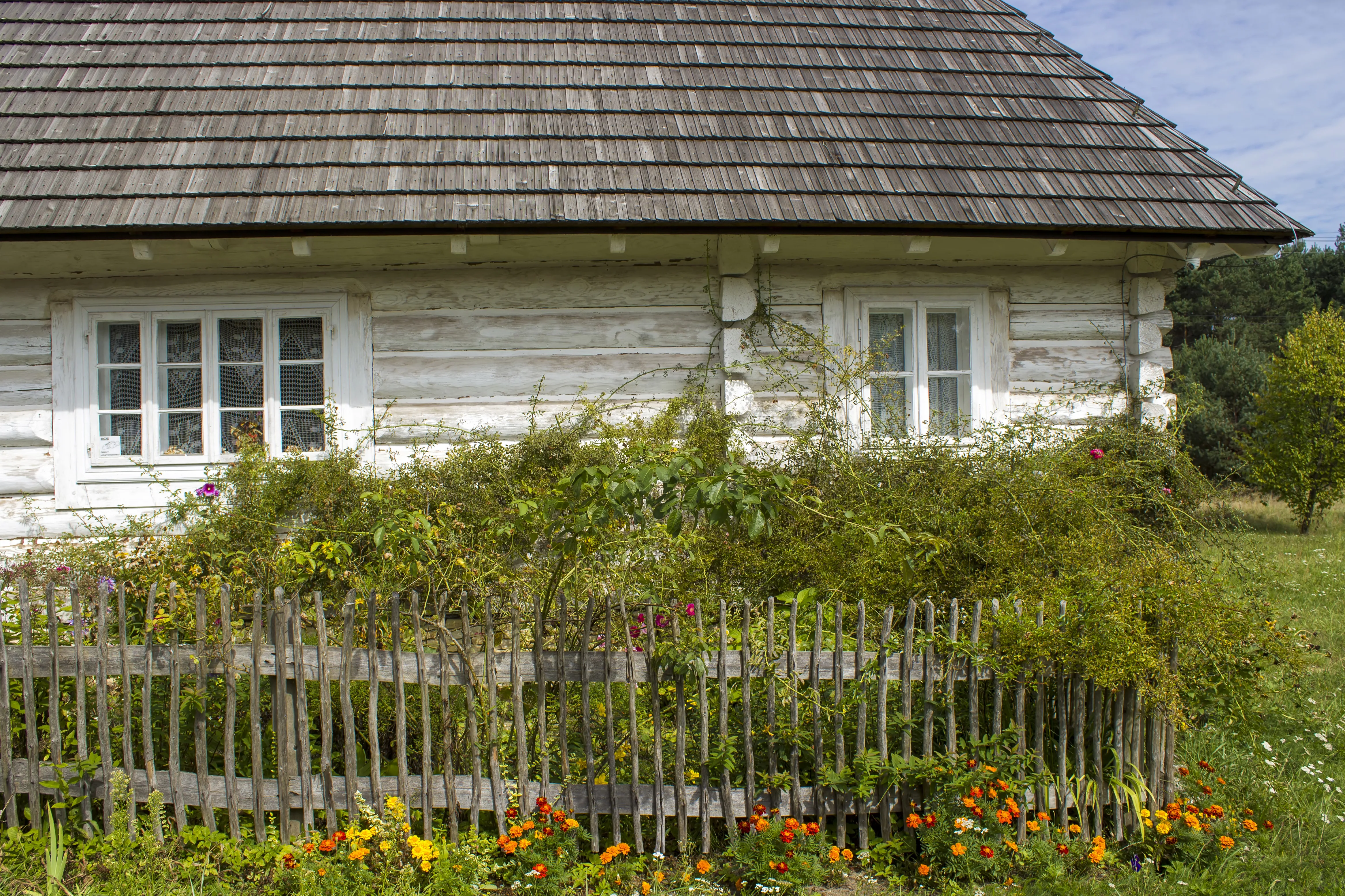 Cikk borítókép