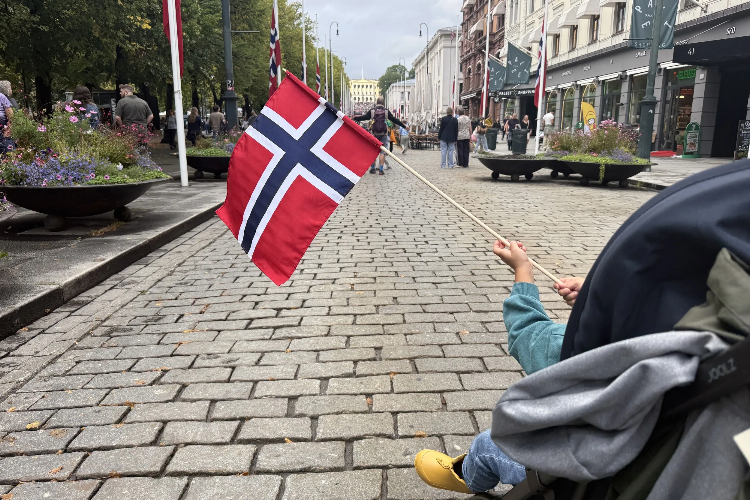 Cikk borítókép